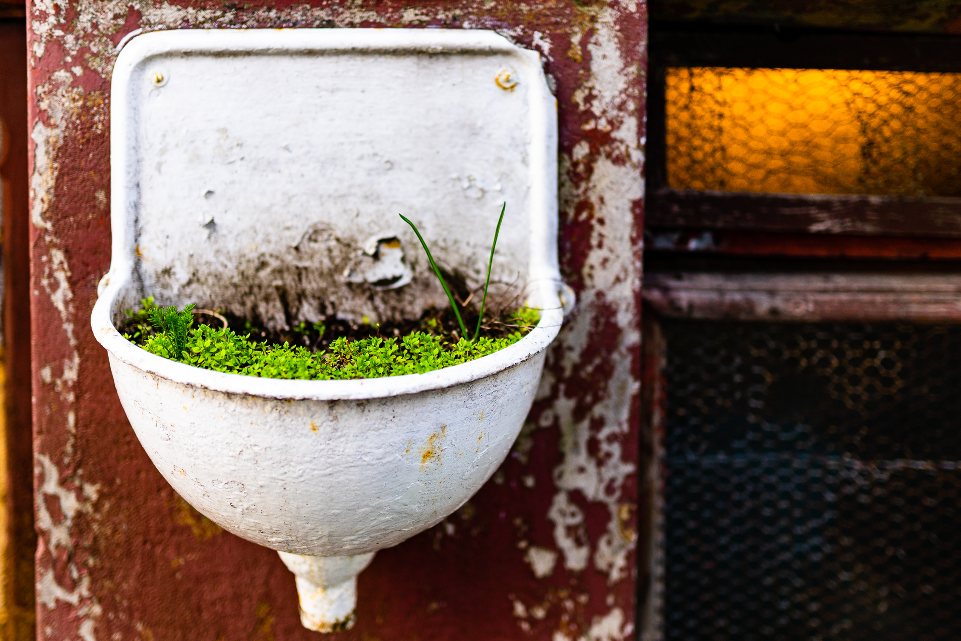 Old Sink