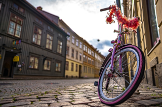 Pink Bike